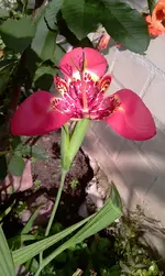 IMAG0102.webp