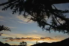 August 2010 159 v.webp