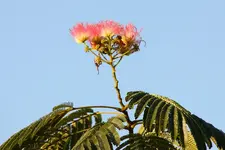 IMG_7691.webp