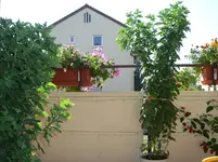 CIMG3466.webp