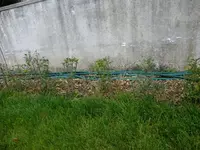 DSCF5039.webp