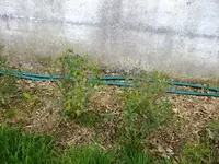 DSCF5041.webp