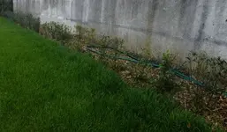 DSCF5042.webp