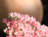 IMG_0168.webp