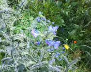 DSC00011.webp
