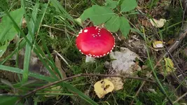 19.09.2010 023.webp