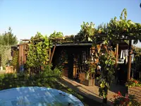 P9190183.webp