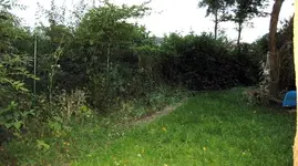 2_Vorher.webp