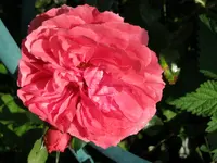 020.webp