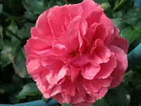 022.webp