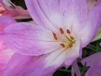 043.webp