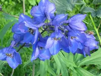 052.webp