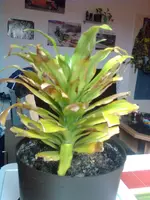 Pic0120.webp