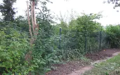 13_Beet links.webp