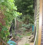 24_neben der Hütte.webp
