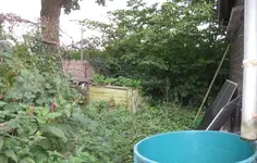 25_Hinter der Hütte.webp