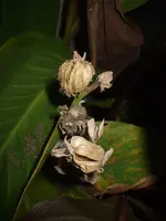 DSCF4563.webp