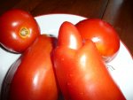Tomaten.JPG