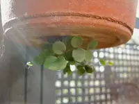 September 2010 413 v.webp