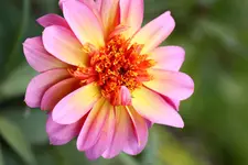 IMG_7739.webp