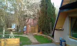 IMAG0092.webp