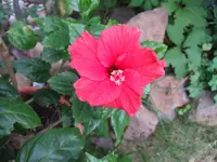DSCF8676.webp