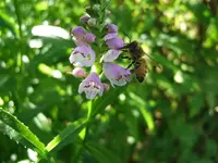 DSCF4119.webp
