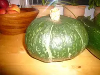 P1100205.webp