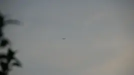 DSC04214.webp