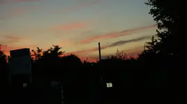 DSC04218.webp