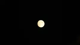 DSC04220.webp