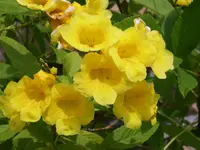 PICT0043.webp