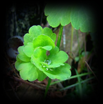 September 2010  023.webp