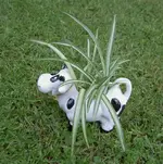 September 2010 448 v.webp