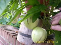 DSCI0220.webp