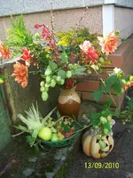 100_2643.webp