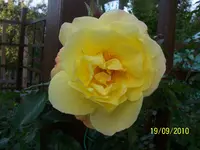 100_2656.webp