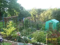 100_2652.webp