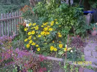 100_2647.webp
