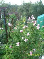 100_2649.webp