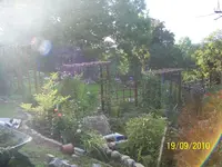 100_2651.webp