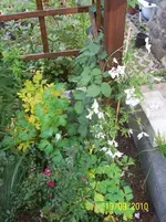 100_2655.webp