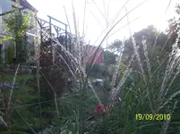 100_2660.webp