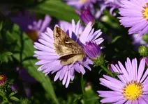 IMG_7838.webp