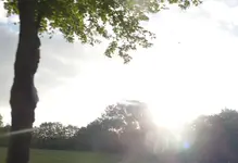 P1060200.webp