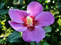 DSC09774.webp