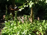 Garten 009.webp
