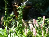 Garten 010.webp