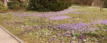 Panoramabild 15.webp