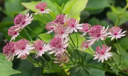 DSC09808(1).webp